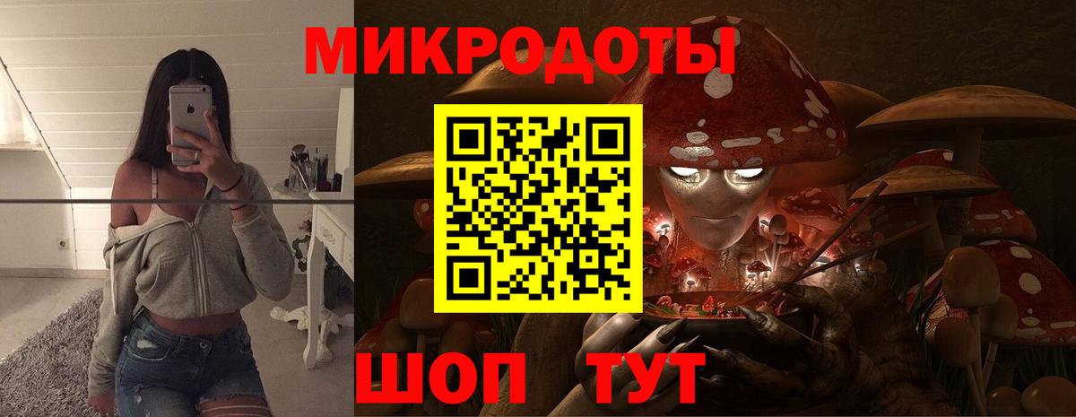 Шатура  Галлюциногенные грибы Psilocybe  Вход с VPN 